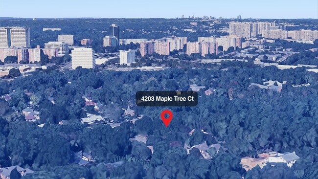 4203 Maple Tree Ct in Alexandria, VA - Building Photo - Building Photo