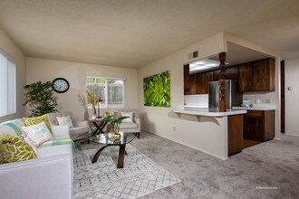 1008 Santa Fe Dr-Unit -1008 in Encinitas, CA - Building Photo - Building Photo