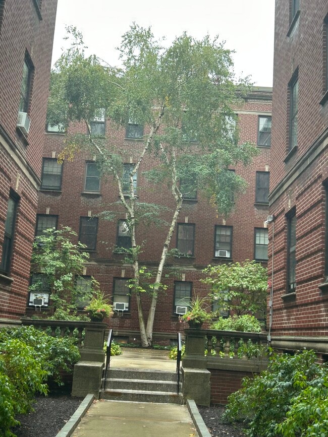 36 Linnaean St in Cambridge, MA - Foto de edificio - Building Photo