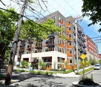 Stream Belmont Apartments Seattle Wa For Washington Stream Belmont Apartments In Seattle