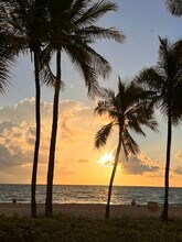 2600 S Ocean Dr, Unit 102 in Hollywood, FL - Building Photo - Building Photo