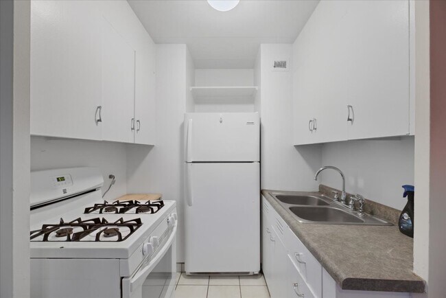 7206 Oak Ave in River Forest, IL - Building Photo - Building Photo