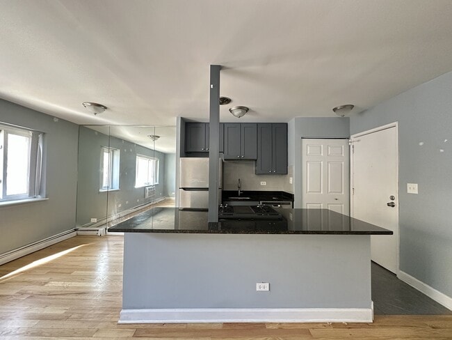 663 W Grace St in Chicago, IL - Foto de edificio - Building Photo