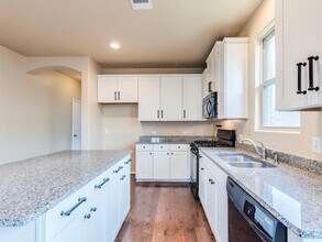 305 Nivens Dr in Buda, TX - Building Photo - Building Photo