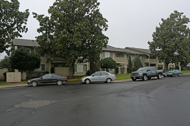 1405 Stonewood Ave in Manteca, CA - Building Photo - Building Photo