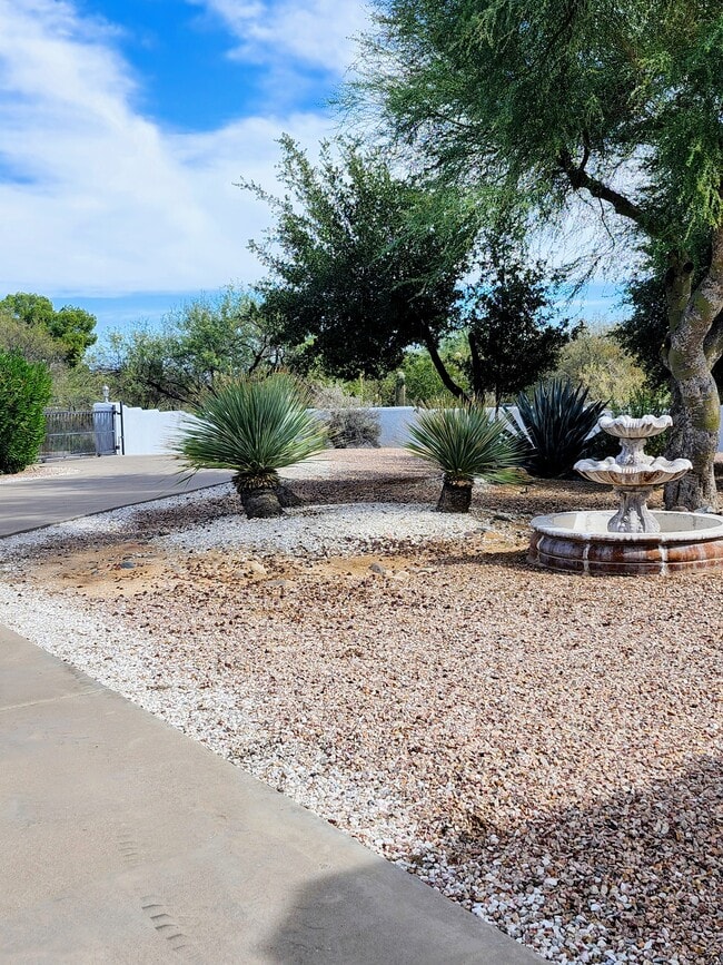 1061 W Calle San Jose in Sahuarita, AZ - Building Photo - Building Photo