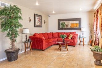 Camelback Courtyard in Phoenix, AZ - Building Photo - Interior Photo
