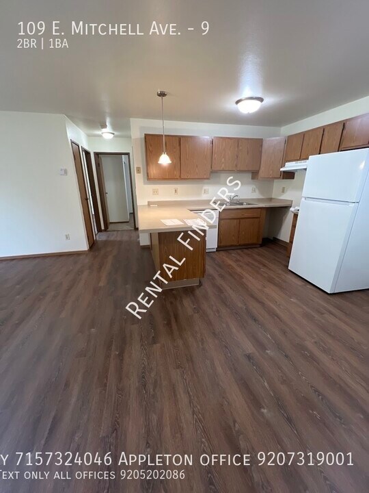 109 E Mitchell Ave in Appleton, WI - Building Photo