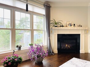 884 Chestnut St in Newton, MA - Building Photo - Building Photo