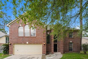 11914 Serendipity Ln in Cypress, TX - Building Photo