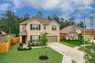 27817 Ellie Oak Ln in Spring, TX - Building Photo