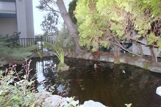 Koi Creek in San Jose, CA - Foto de edificio - Building Photo