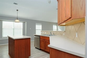 249 Ashwood N in Kyle, TX - Building Photo - Building Photo