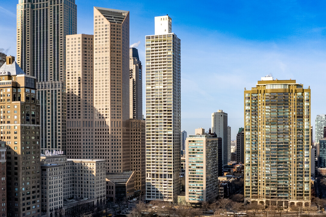 1000 Lakeshore Plaza in Chicago, IL - Building Photo