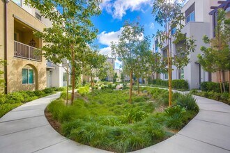 2329 Verano Wy. in Vista, CA - Building Photo - Building Photo
