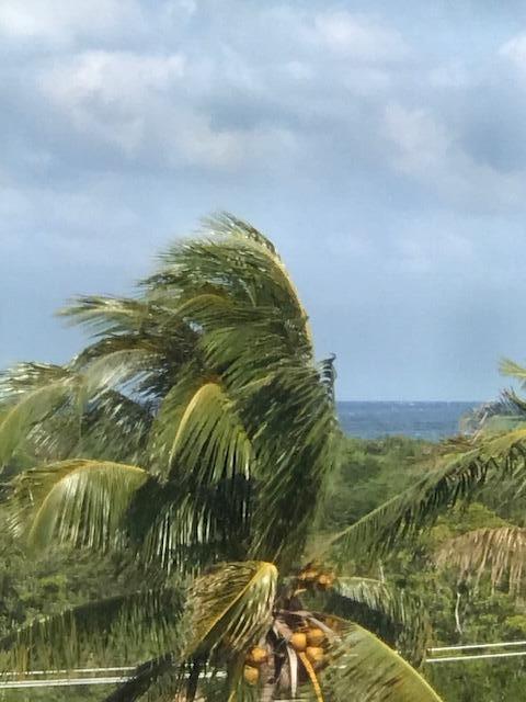 property at 275 Palm Ave