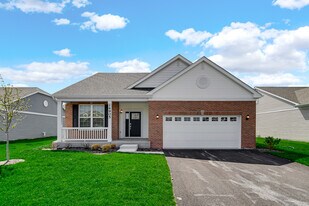 14905 McCarthy Cir in Plainfield, IL - Building Photo