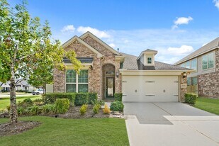 10098 Black Maple Dr in Shenandoah, TX - Building Photo