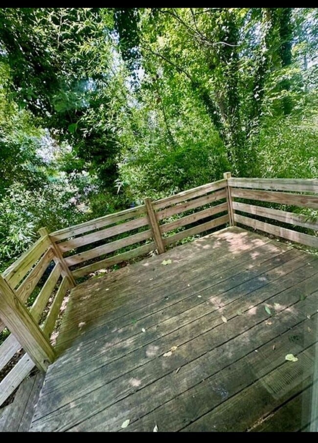 407 Lindsay Rd in Clemson, SC - Building Photo - Building Photo