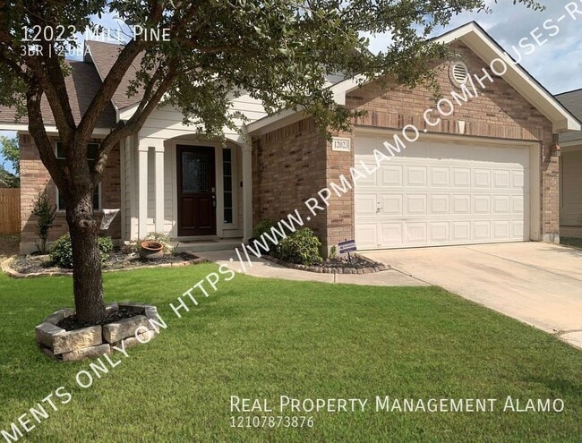 property at 12023 Mill Pine