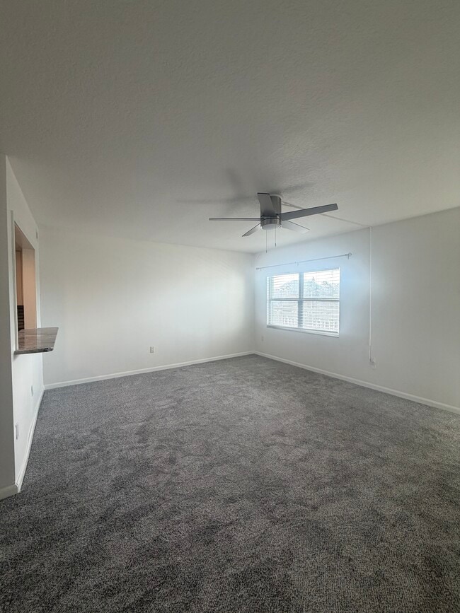 7321 Central Ave in St. Petersburg, FL - Building Photo - Building Photo