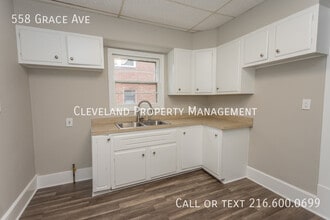 558 Grace Ave in Akron, OH - Building Photo - Building Photo