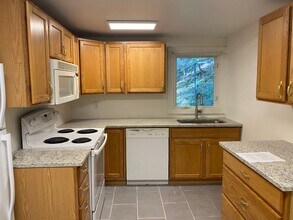 119 Thurston Ave in Ithaca, NY - Building Photo - Building Photo