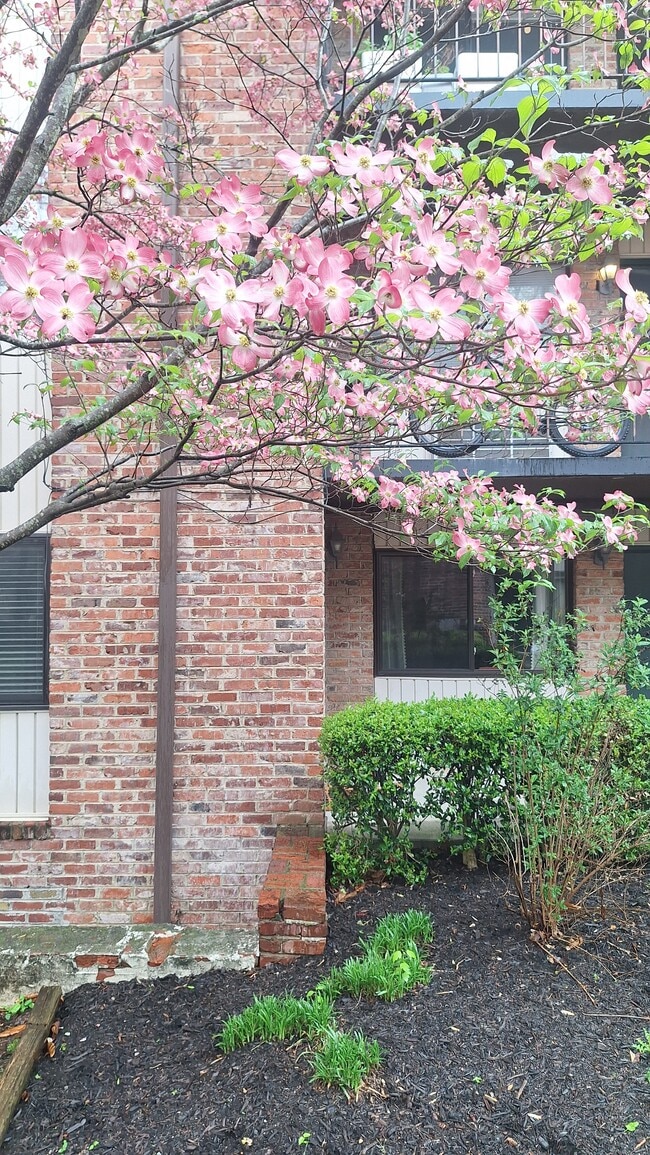 2718 Painter Ave, Unit B108 in Knoxville, TN - Foto de edificio - Building Photo