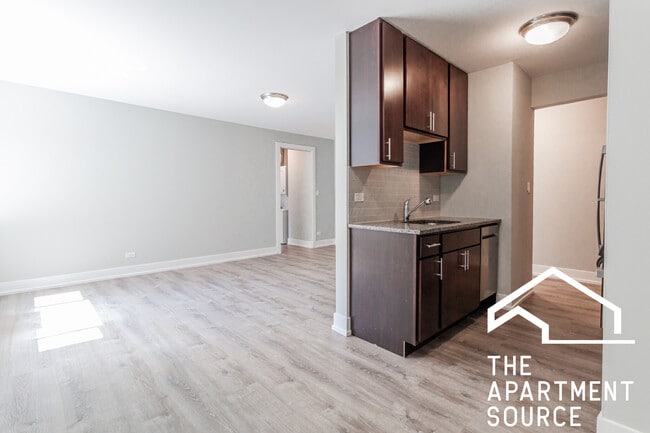 529 W Surf St, Unit 517 in Chicago, IL - Building Photo - Building Photo