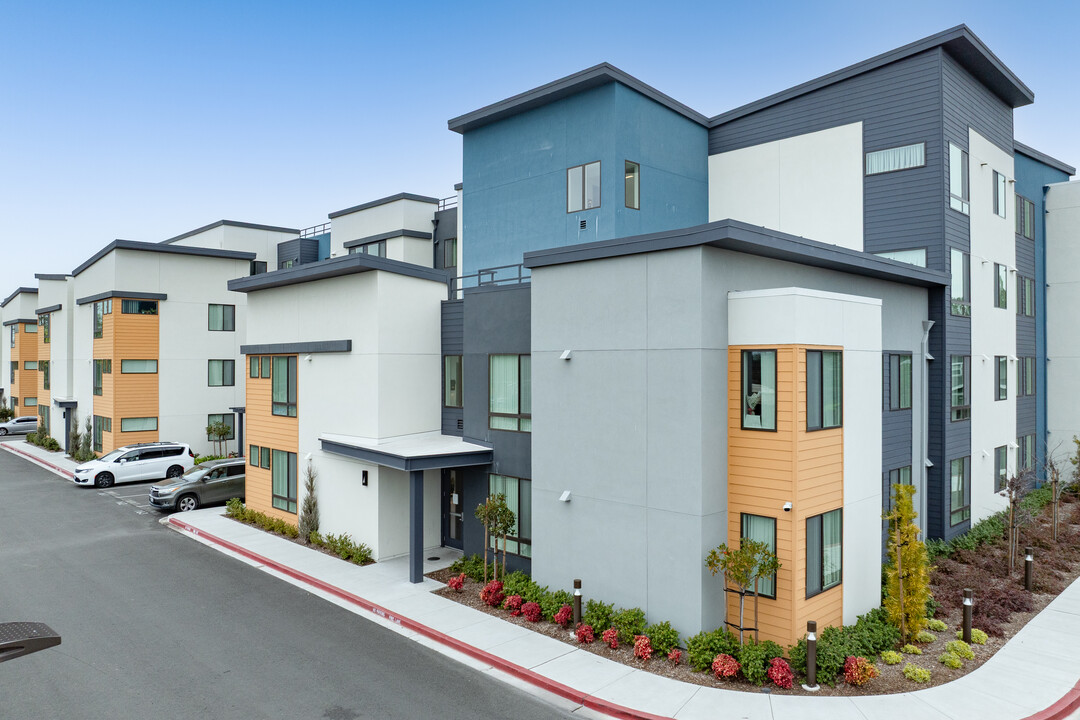 Stony Oaks Apartments in Santa Rosa, CA - Building Photo