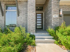 396 Cold Riv Run in Kyle, TX - Building Photo - Building Photo