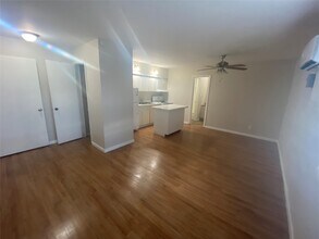 502 W Alabama St in Houston, TX - Building Photo - Building Photo