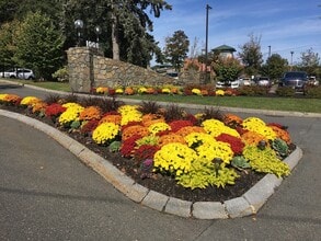 1002 Paradise Rd in Swampscott, MA - Building Photo - Building Photo