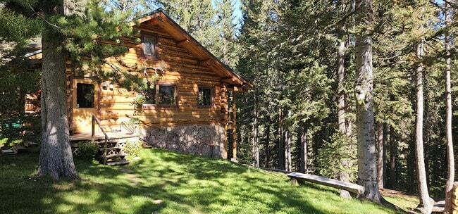 property at 6550 Lodgepole Trail