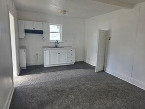 313 E Ewing Ave in South Bend, IN - Building Photo - Building Photo