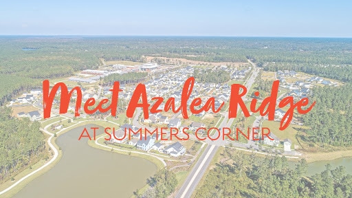 property at 230 Morning Song St