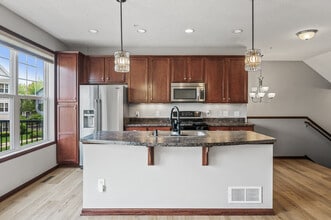 11917 Emery Village Dr N in Champlin, MN - Building Photo - Building Photo