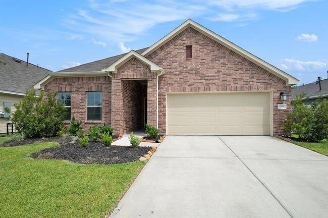 1176 Filly Crk Dr in Alvin, TX - Building Photo - Building Photo