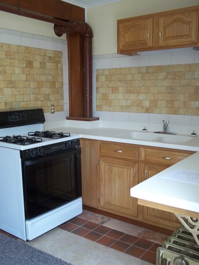 305 Oregon Ave, Unit 3 in West Dundee, IL - Building Photo - Building Photo