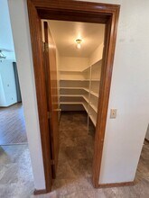 8029 Potomac Dr in Colorado Springs, CO - Building Photo - Building Photo