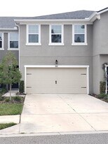 17623 Ledger Line Ln in Lutz, FL - Building Photo