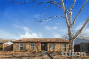 3314 Sam Rayburn Run in Carrollton, TX - Building Photo