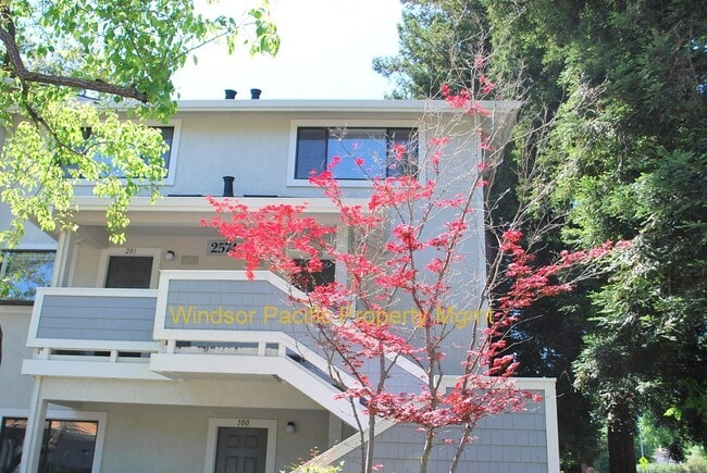 2574 Oak Rd in Walnut Creek, CA - Building Photo - Building Photo