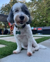 150 S Madrona Ave in Brea, CA - Building Photo - Building Photo