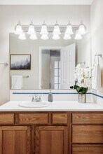 212 Mulligan Lake Dr in Mead, CO - Foto de edificio - Building Photo