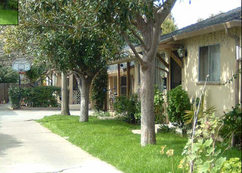 700 Mariposa Ave in Mountain View, CA - Building Photo - Building Photo