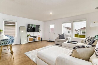 6793 Paso Fino Dr in Bellview, FL - Building Photo - Building Photo