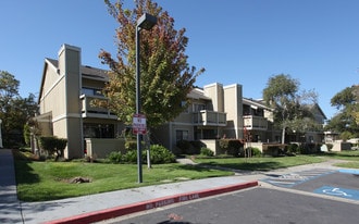 Meadows Apartments