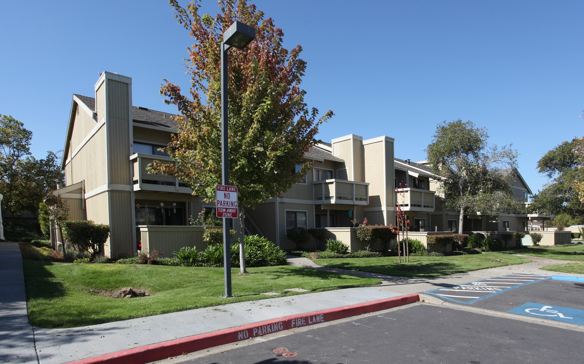 Meadows Apartments in Novato, CA - Foto de edificio