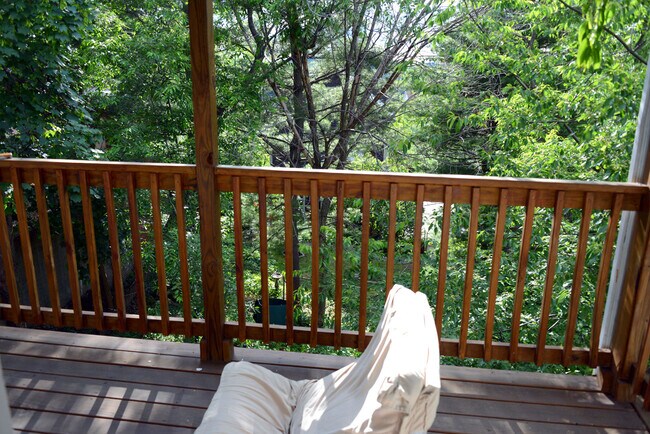 19 Sunset St in Boston, MA - Building Photo - Building Photo